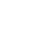 Dying Light Records
